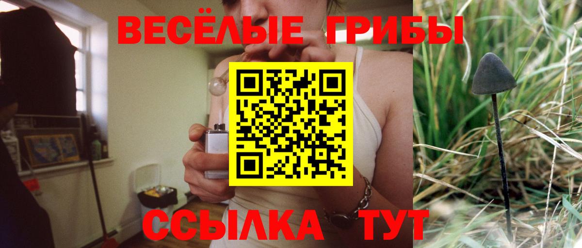 Галлюциногенные грибы MAGIC MUSHROOMS  Вход с VPN  Псилоцибиновые грибы Magic Shrooms  Заводоуковск 
